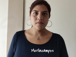 Merlincampos