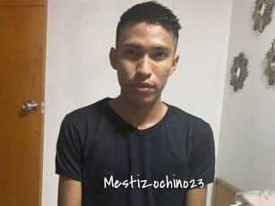 Mestizochino23