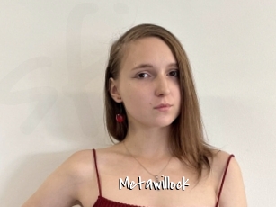 Metawillock