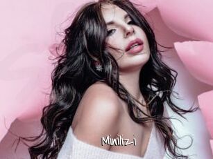 Minilizi