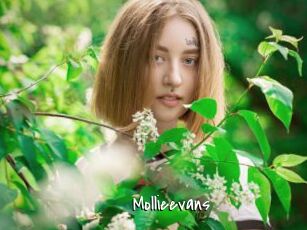 Mollieevans