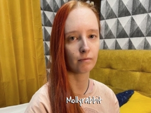 Mollyrabbit