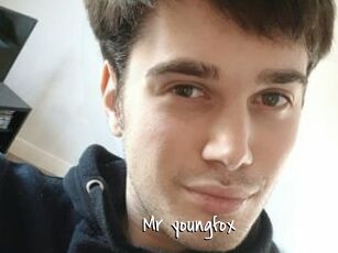Mr_youngfox