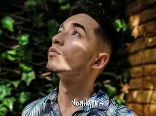 NoaHarris