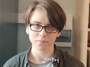 NoahBoy