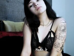 Noah_b