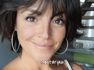 Nectaryne