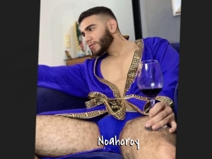 Noahcroy