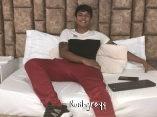 Noahgreyy
