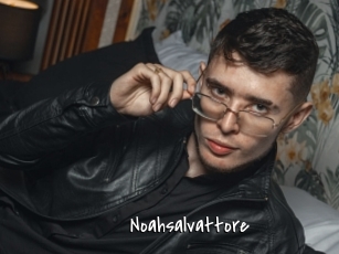 Noahsalvattore