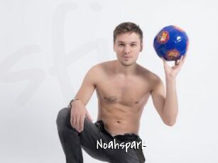 Noahspark