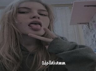 Odellahamm