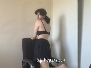 Odettacaecus