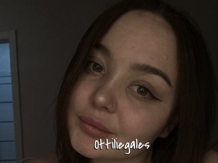 Ottiliegales