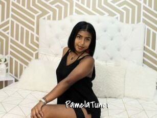 PamelaTuner