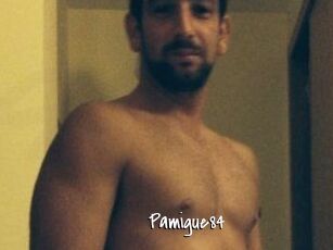 Pamigue84