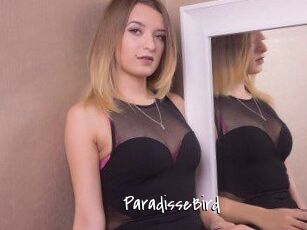 ParadisseBird