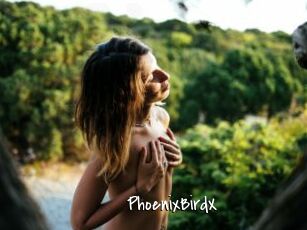 PhoenixBirdX