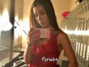 Porsch3