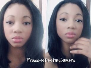 PrincessDestinyCamero