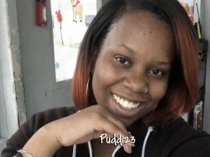 Pudd123