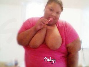 Pudgy