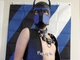 PupLupin