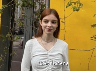 Peacefenning