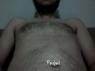 Pedwil