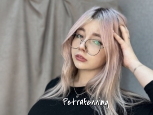 Petrafenning