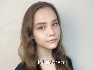 Petulaforster