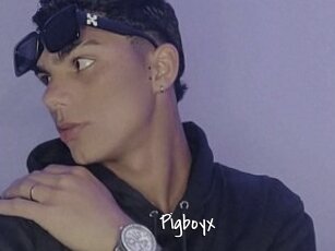 Pigboyx