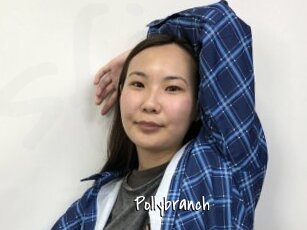 Pollybranch