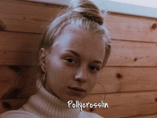 Pollycrosslin