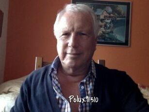 Polux91310