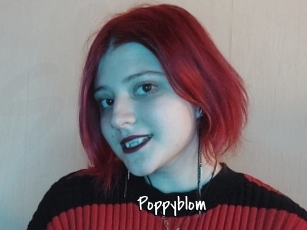 Poppyblom