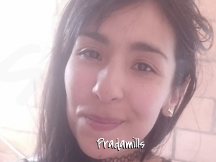 Pradamills