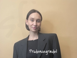 Prudencegrindel