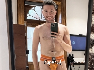 Pupstud