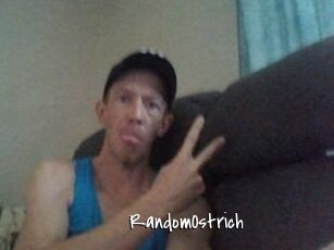RandomOstrich