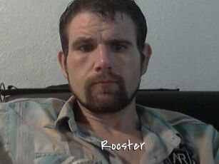 Rocster