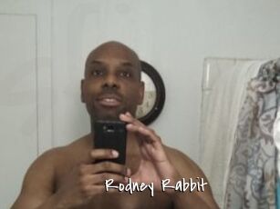 Rodney_Rabbit