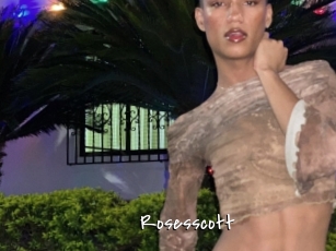 rosesscott Sexy Footjobs