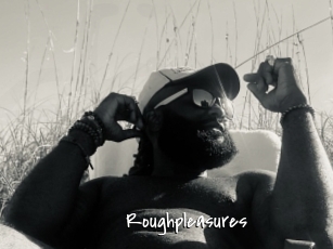 Roughpleasures