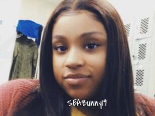 SEABunny19