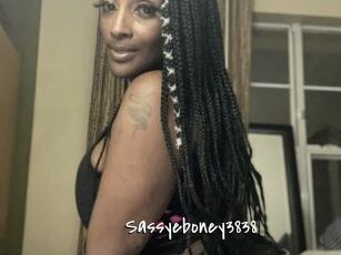 Sassyeboney3838