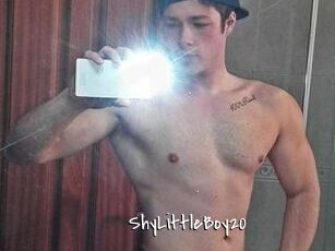 ShyLittleBoy20