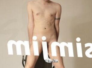 SimJim