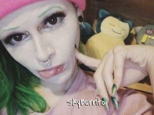 SkyBurrito