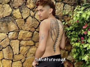 Salvatorevega